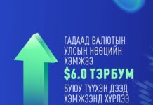 ВАЛЮТЫН НӨӨЦИЙН ХЭМЖЭЭ ЗУРГААН ТЭРБУМ АМ. ДОЛЛАРТ ХҮРЛЭЭ