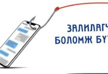 ЦЕГ: Цахим мэдээллийн аюулгүй байдлын эсрэг гэмт хэрэг 2.4 дахин өссөн нь гэмт хэргийн тоо өсөхөд голлон нөлөөлжээ